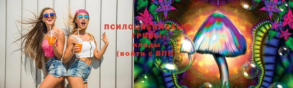 mdpv Костерёво