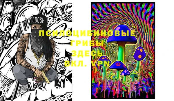 МДПВ Коряжма